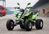 QUAD SHINERAY 200cc ST9 AUTOMATIQUE HOMOLOGUE 2 PLACES, image N°3