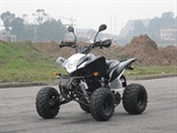 QUAD SHINERAY 200cc STIIE-B HOMOLOGUE 2 PLACES, image N°1