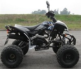 QUAD SHINERAY 200cc STIIE-B HOMOLOGUE 2 PLACES, image N°6