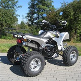 QUAD SHINERAY 250cc STXE NOUVEAU MODELE 2014 HOMOLOGUE 2 PLACES, image N°8