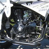 QUAD SHINERAY 250cc STXE NOUVEAU MODELE 2014 HOMOLOGUE 2 PLACES, image N°10