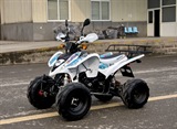 QUAD SHINERAY 250cc STXE HOMOLOGUE 2 PLACES, image N°1