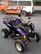 QUAD SHINERAY 250cc STXE HOMOLOGUE 2 PLACES, image N°3