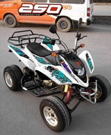 QUAD SHINERAY 250cc STXE HOMOLOGUE 2 PLACES, image N°5