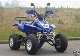 QUAD SHINERAY 300cc ST4E HOMOLOGUE 2 PLACES, image N°3