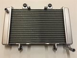 RADIATEUR SHINERAY 250 STIXE, image N°1