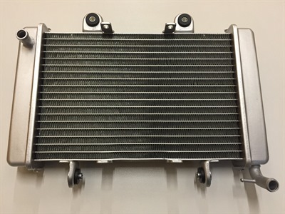 RADIATEUR SHINERAY 250 STIXE