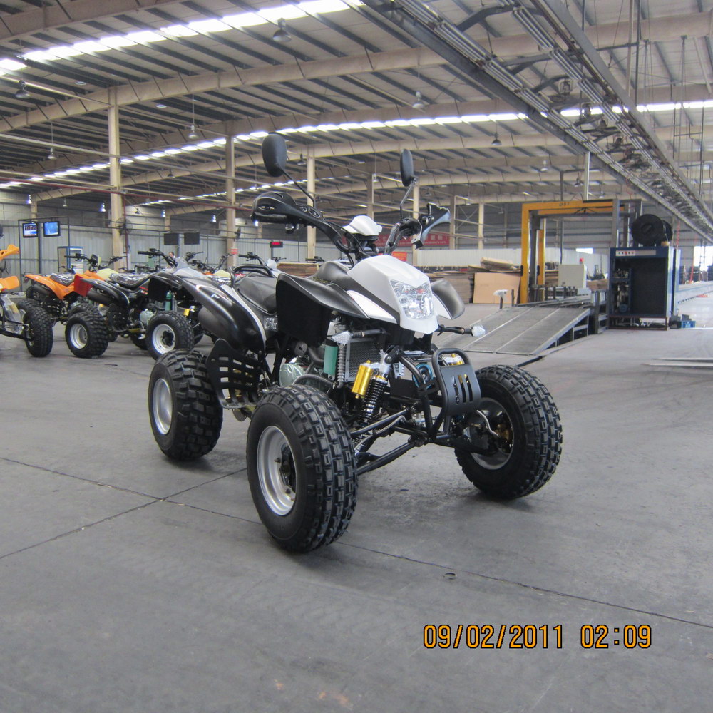 QUAD BASHAN 250cc S11 HOMOLOGUE 2 PLACES (S11)